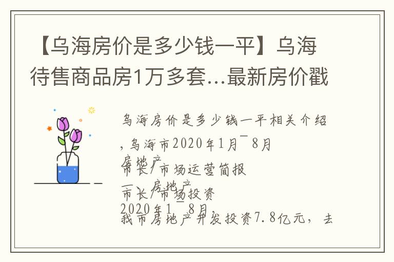 【烏海房?jī)r(jià)是多少錢一平】烏海待售商品房1萬(wàn)多套…最新房?jī)r(jià)戳這里↓