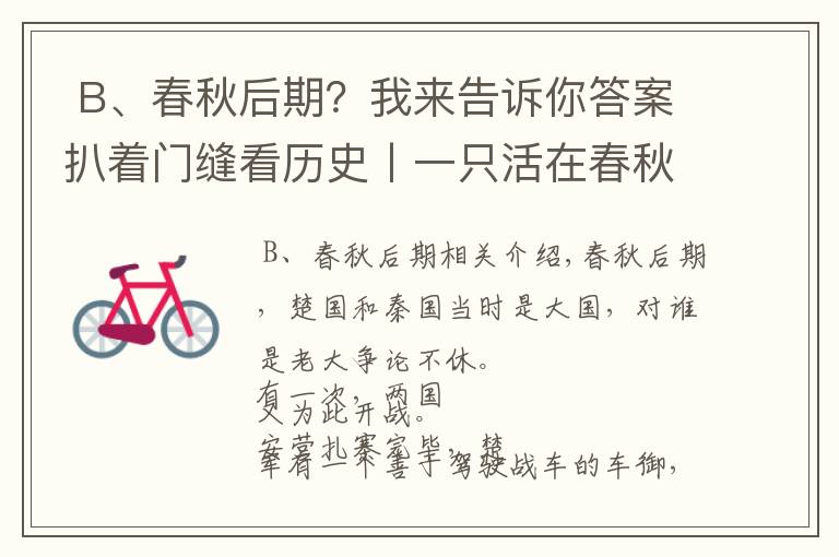  B、春秋后期？我來告訴你答案扒著門縫看歷史丨一只活在春秋時(shí)的麋鹿會(huì)遭遇什么？