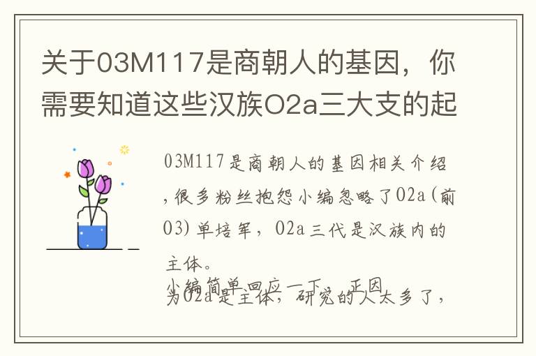 關(guān)于03M117是商朝人的基因，你需要知道這些漢族O2a三大支的起源、勢力劃分