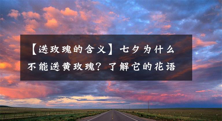 【送玫瑰的含義】七夕為什么不能送黃玫瑰？了解它的花語后，就明白為何不能送戀人