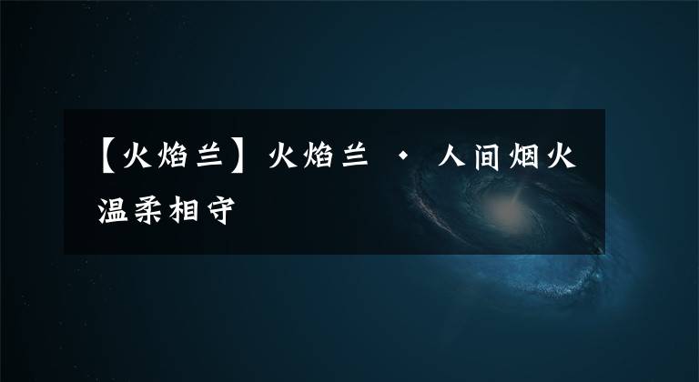 【火焰蘭】火焰蘭 · 人間煙火 溫柔相守