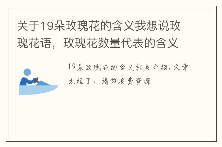 關(guān)于19朵玫瑰花的含義我想說(shuō)玫瑰花語(yǔ)，玫瑰花數(shù)量代表的含義