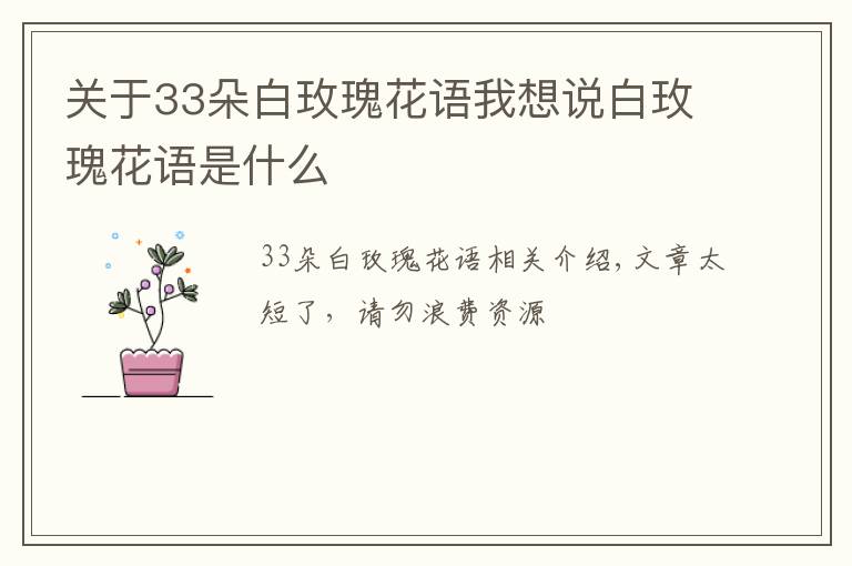 關(guān)于33朵白玫瑰花語我想說白玫瑰花語是什么