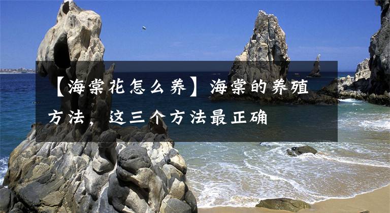 【海棠花怎么養(yǎng)】海棠的養(yǎng)殖方法，這三個(gè)方法最正確