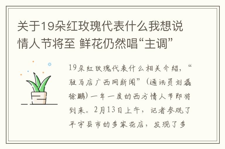 關(guān)于19朵紅玫瑰代表什么我想說情人節(jié)將至 鮮花仍然唱“主調(diào)”