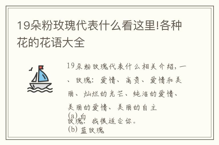 19朵粉玫瑰代表什么看這里!各種花的花語(yǔ)大全