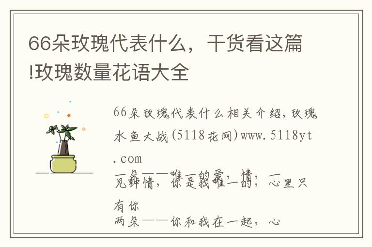 66朵玫瑰代表什么，干貨看這篇!玫瑰數(shù)量花語大全