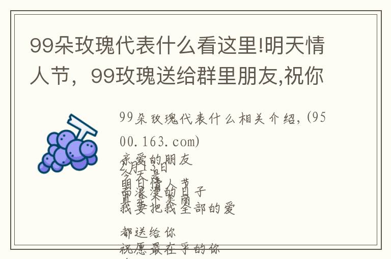 99朵玫瑰代表什么看這里!明天情人節(jié)，99玫瑰送給群里朋友,祝你們情人節(jié)快樂,永遠健康幸福