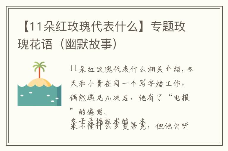 【11朵紅玫瑰代表什么】專題玫瑰花語（幽默故事）