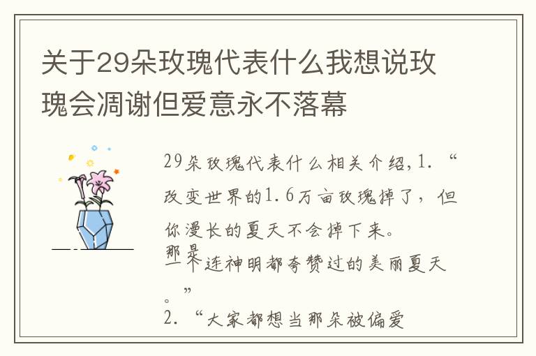 關(guān)于29朵玫瑰代表什么我想說玫瑰會凋謝但愛意永不落幕