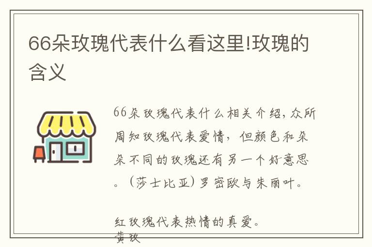 66朵玫瑰代表什么看這里!玫瑰的含義