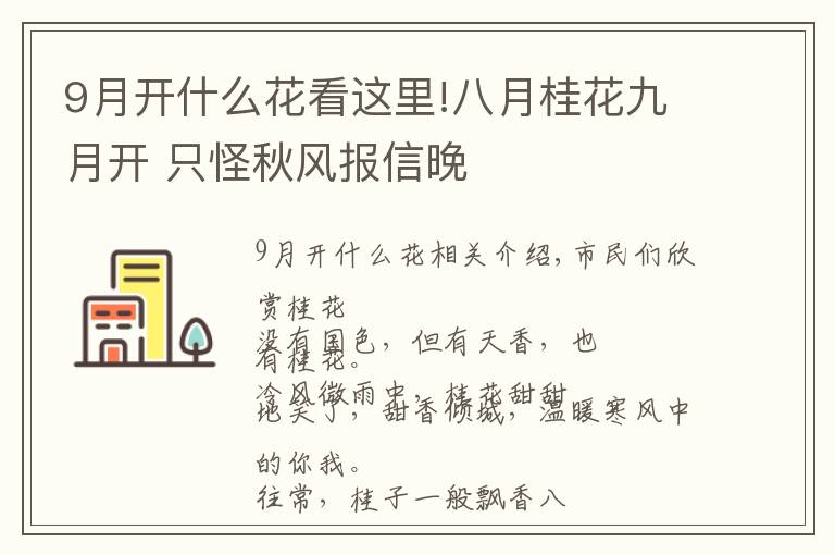 9月開什么花看這里!八月桂花九月開 只怪秋風(fēng)報(bào)信晚