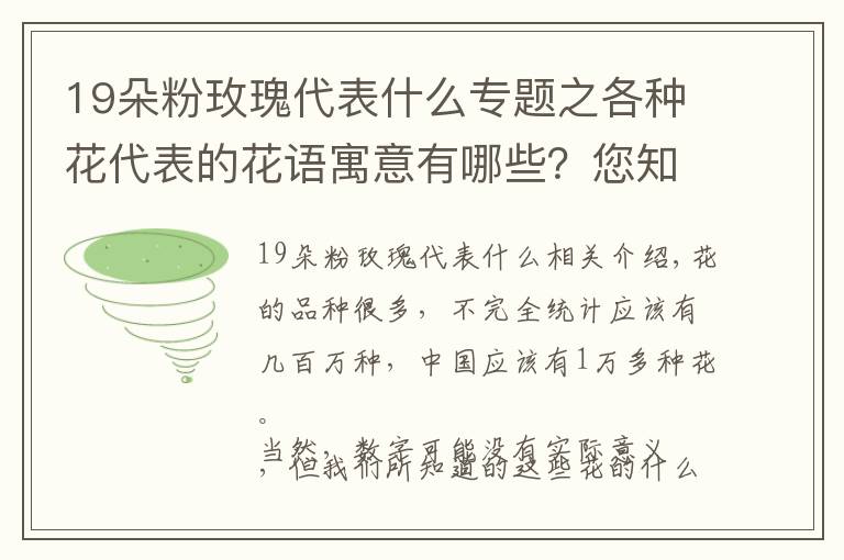 19朵粉玫瑰代表什么專題之各種花代表的花語(yǔ)寓意有哪些？您知道多少呢