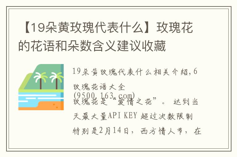 【19朵黃玫瑰代表什么】玫瑰花的花語和朵數(shù)含義建議收藏