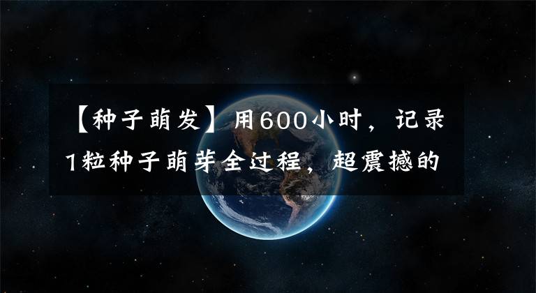 【種子萌發(fā)】用600小時(shí)，記錄1粒種子萌芽全過程，超震撼的延時(shí)攝影