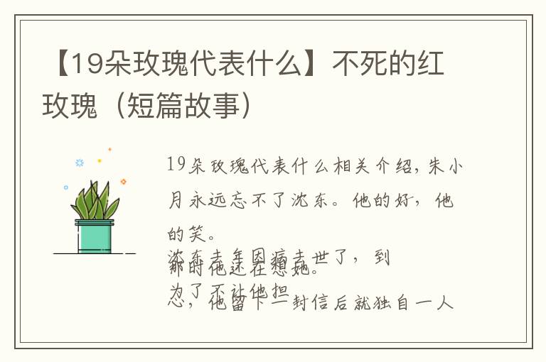 【19朵玫瑰代表什么】不死的紅玫瑰（短篇故事）