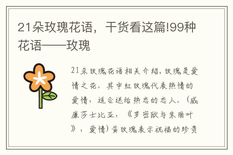 21朵玫瑰花語，干貨看這篇!99種花語——玫瑰