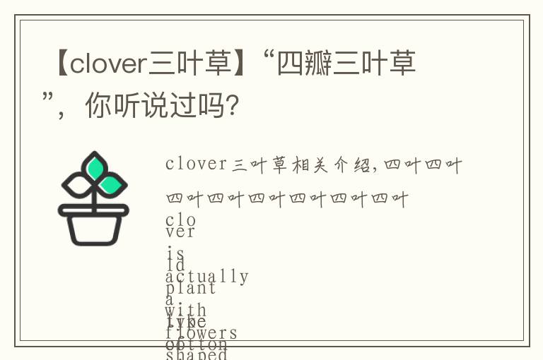 【clover三葉草】“四瓣三葉草”，你聽說過嗎？