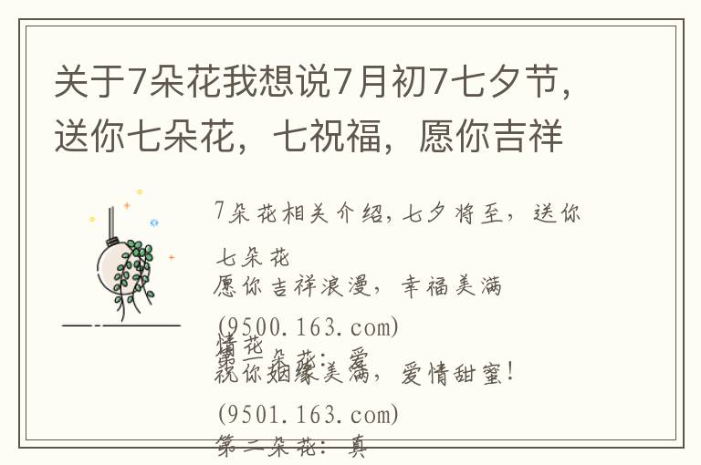 關(guān)于7朵花我想說7月初7七夕節(jié)，送你七朵花，七祝福，愿你吉祥幸福！