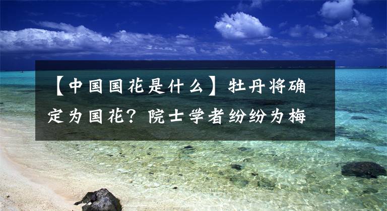 【中國(guó)國(guó)花是什么】牡丹將確定為國(guó)花？院士學(xué)者紛紛為梅花叫屈