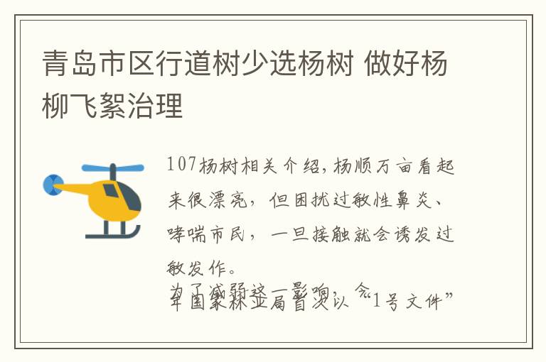 青島市區(qū)行道樹少選楊樹 做好楊柳飛絮治理