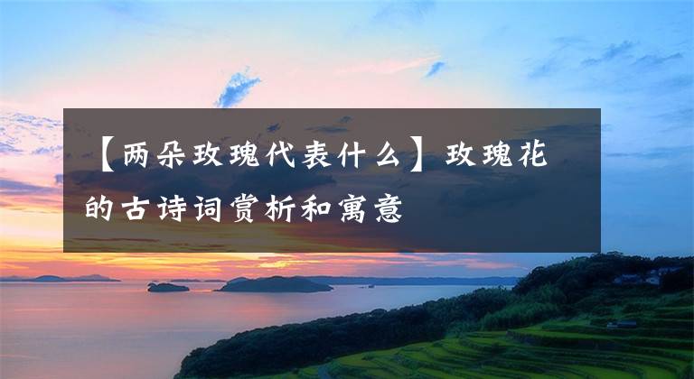 【兩朵玫瑰代表什么】玫瑰花的古詩(shī)詞賞析和寓意