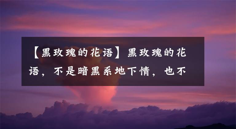 【黑玫瑰的花語】黑玫瑰的花語，不是暗黑系地下情，也不是虛偽的愛，而且溫柔真心