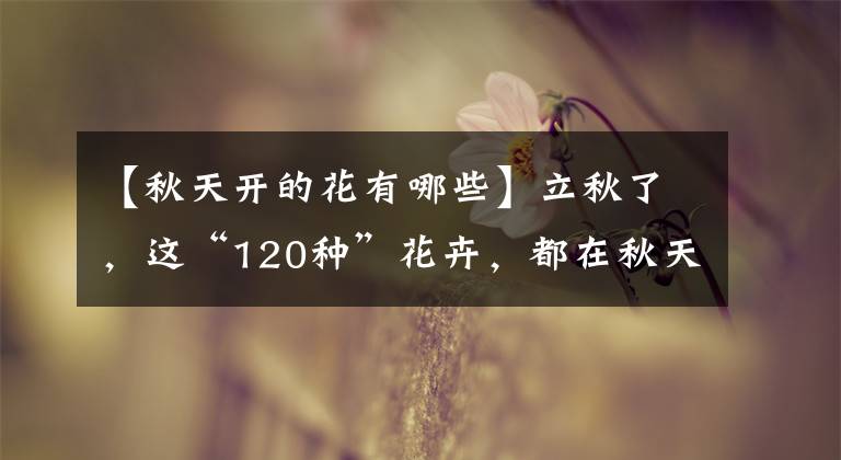 【秋天開的花有哪些】立秋了，這“120種”花卉，都在秋天開花，夠養(yǎng)一屋子了