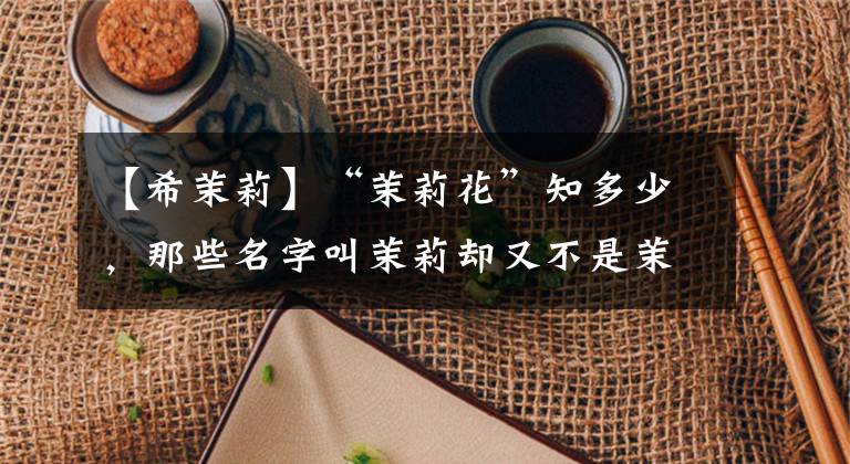 【希茉莉】“茉莉花”知多少，那些名字叫茉莉卻又不是茉莉的花