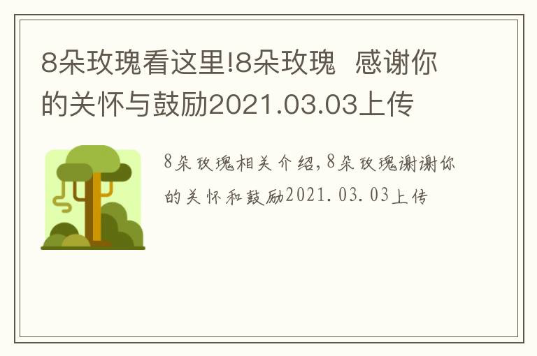 8朵玫瑰看這里!8朵玫瑰  感謝你的關(guān)懷與鼓勵(lì)2021.03.03上傳