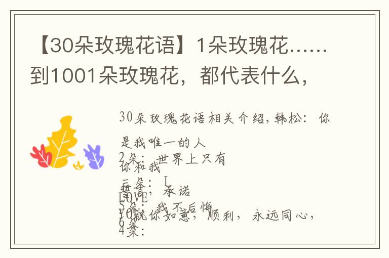 【30朵玫瑰花語】1朵玫瑰花……到1001朵玫瑰花，都代表什么，你知道嗎？