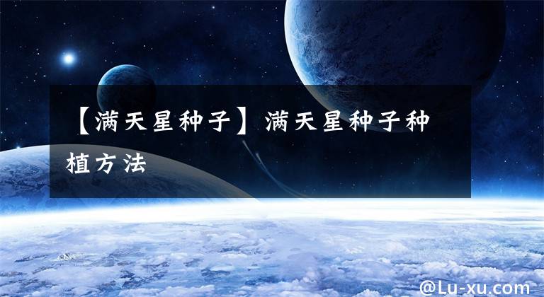 【滿天星種子】滿天星種子種植方法