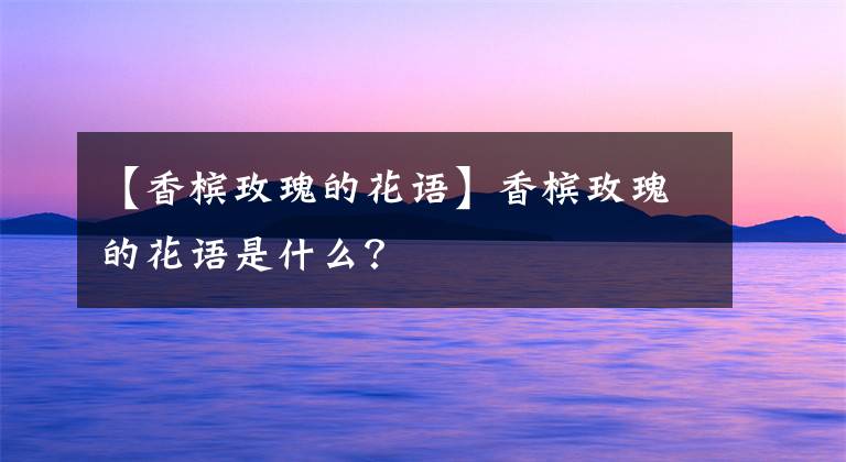 【香檳玫瑰的花語(yǔ)】香檳玫瑰的花語(yǔ)是什么？