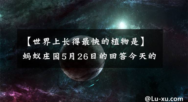 【世界上長得最快的植物是】螞蟻莊園5月26日的回答今天的回答世界上生長最快的植物是什么？