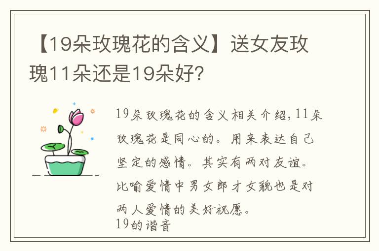 【19朵玫瑰花的含義】送女友玫瑰11朵還是19朵好？