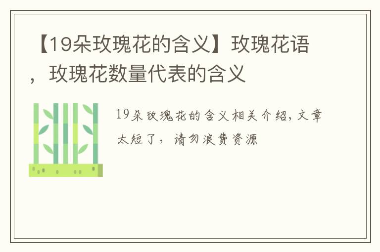 【19朵玫瑰花的含義】玫瑰花語(yǔ)，玫瑰花數(shù)量代表的含義