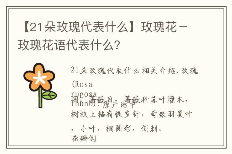 【21朵玫瑰代表什么】玫瑰花－玫瑰花語代表什么？