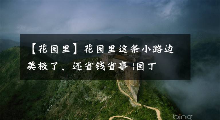 【花園里】花園里這條小路邊美極了，還省錢省事 |園丁