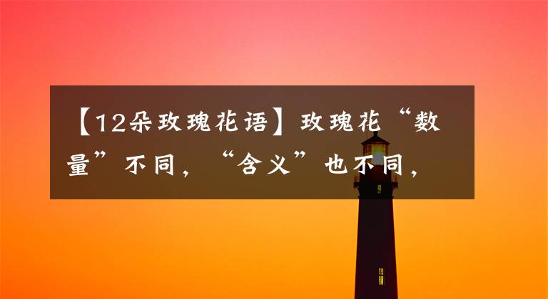 【12朵玫瑰花語】玫瑰花“數(shù)量”不同，“含義”也不同，送錯了容易鬧笑話