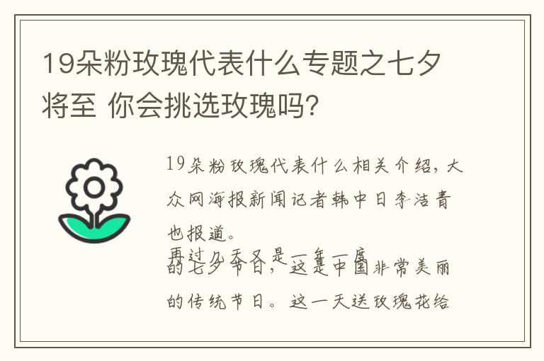 19朵粉玫瑰代表什么專題之七夕將至 你會挑選玫瑰嗎？