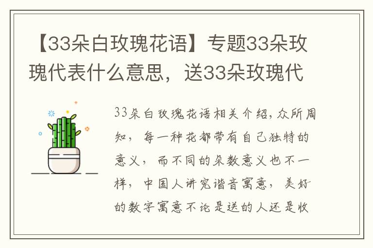 【33朵白玫瑰花語】專題33朵玫瑰代表什么意思，送33朵玫瑰代表什么（生生世世的愛）