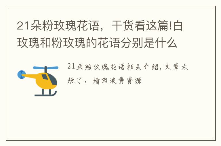 21朵粉玫瑰花語(yǔ)，干貨看這篇!白玫瑰和粉玫瑰的花語(yǔ)分別是什么