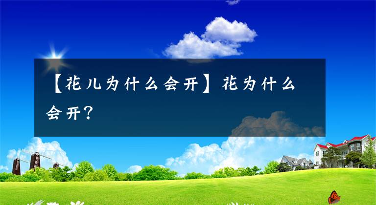 【花兒為什么會開】花為什么會開？