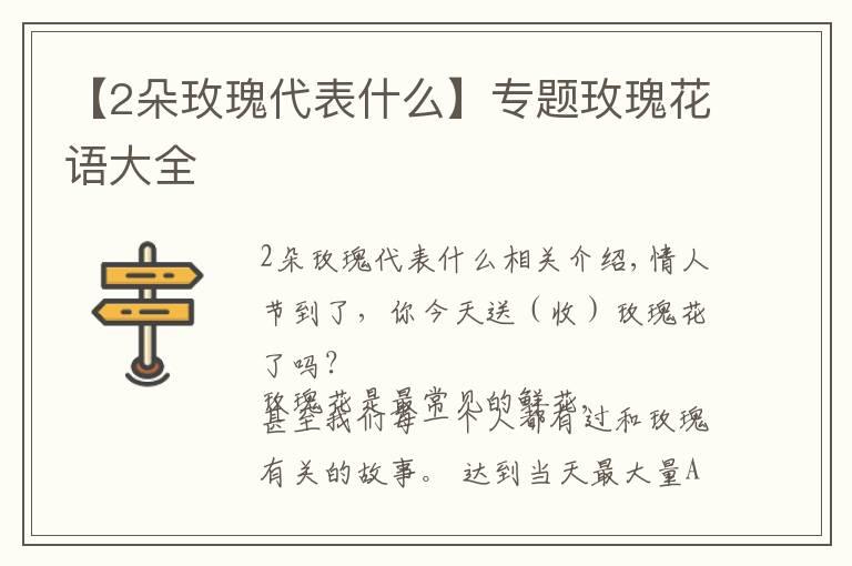 【2朵玫瑰代表什么】專題玫瑰花語大全