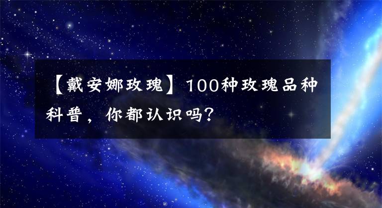 【戴安娜玫瑰】100種玫瑰品種科普，你都認(rèn)識嗎？