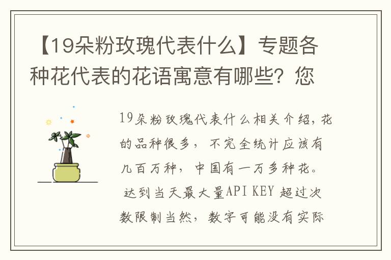 【19朵粉玫瑰代表什么】專題各種花代表的花語寓意有哪些？您知道多少呢