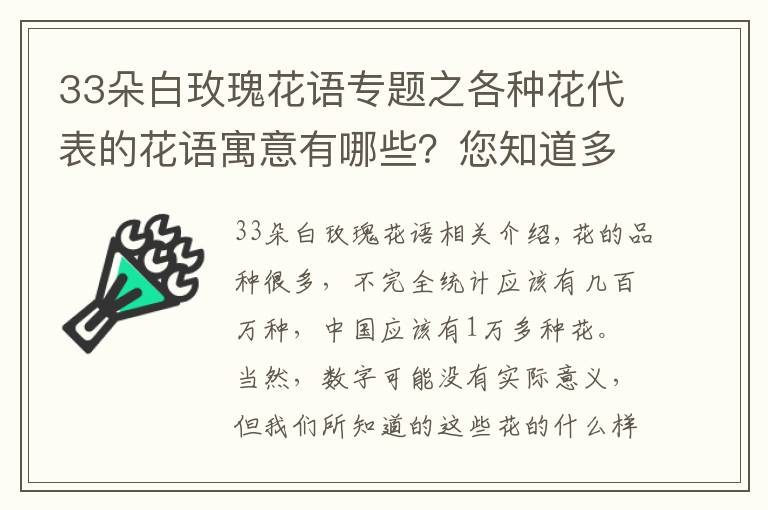 33朵白玫瑰花語(yǔ)專題之各種花代表的花語(yǔ)寓意有哪些？您知道多少呢