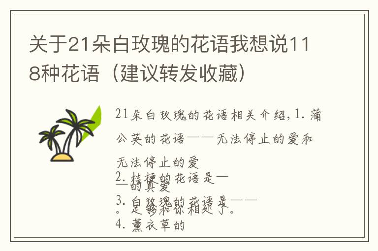 關(guān)于21朵白玫瑰的花語我想說118種花語（建議轉(zhuǎn)發(fā)收藏）