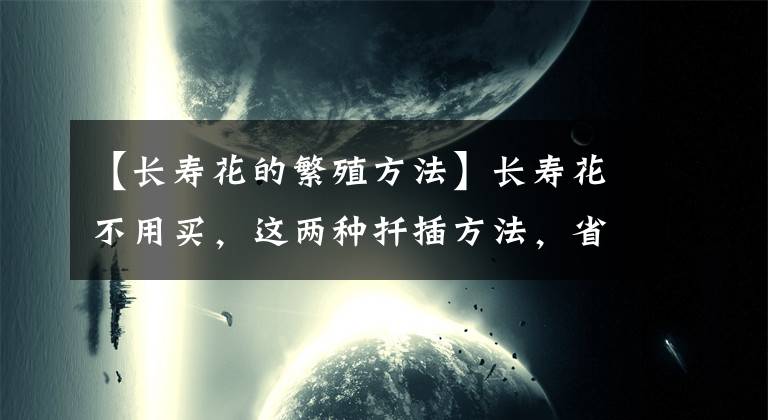 【長(zhǎng)壽花的繁殖方法】長(zhǎng)壽花不用買，這兩種扦插方法，省錢省事，新手只管放心操作