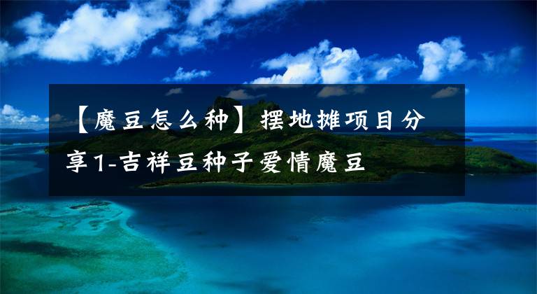 【魔豆怎么種】擺地?cái)傢?xiàng)目分享1-吉祥豆種子愛情魔豆